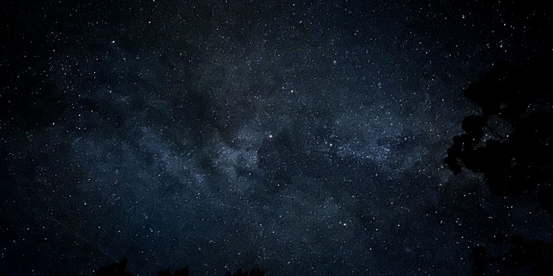 The Milky Way stretching across a dark sky above tree silhouettes on Old Mission Peninsula, Michigan, during the 2026 Perseid meteor shower.